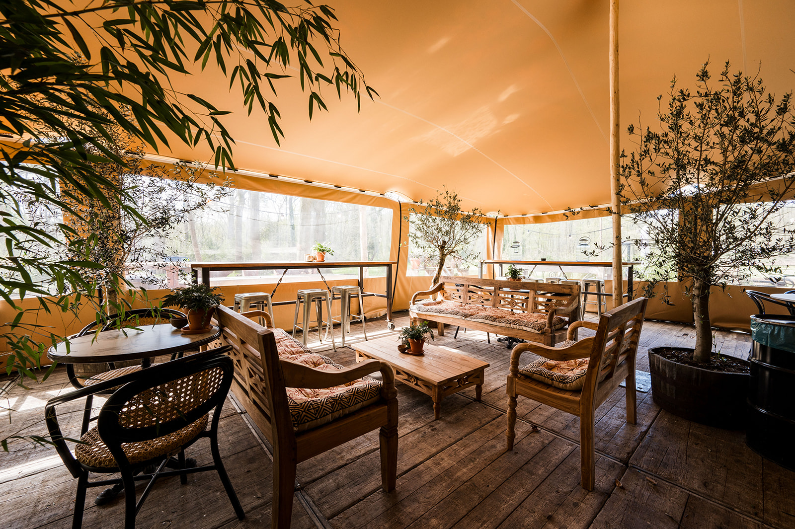 Intérieur d'une tente stretch aménagé : banquettes, tables basses, oliviers en pot