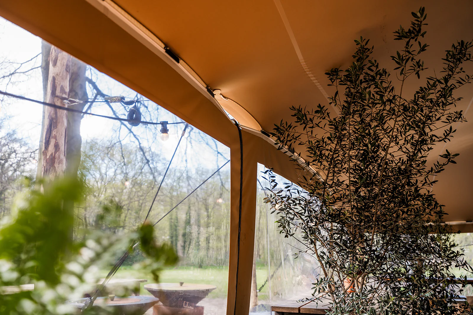 Paroi cristal transparente installée sous une tente stretch