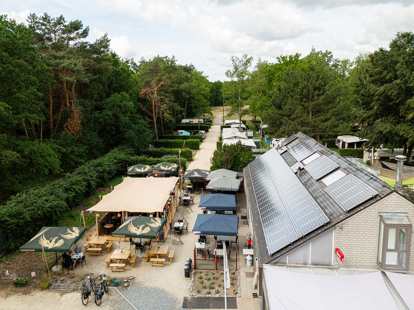 Vue aérienne de la terrasse de camping couverte et entourée de pins