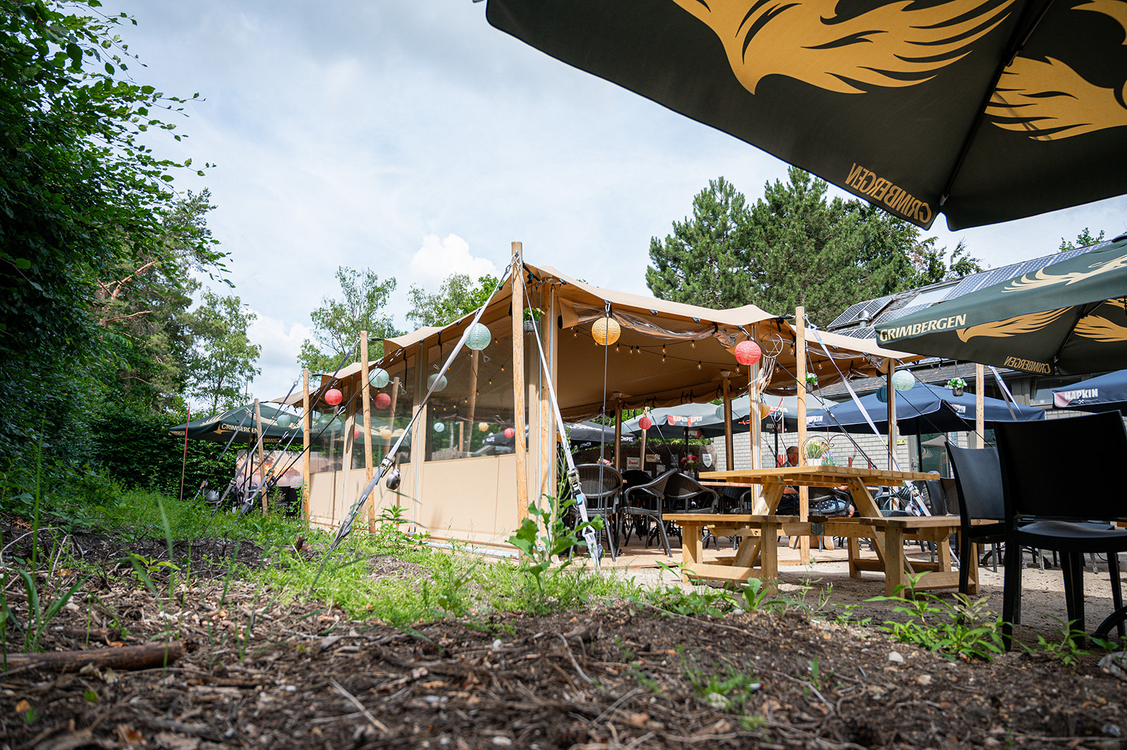 Toile stretch sable sur mâts bois au-dessus de la terrasse d’un bar de camping